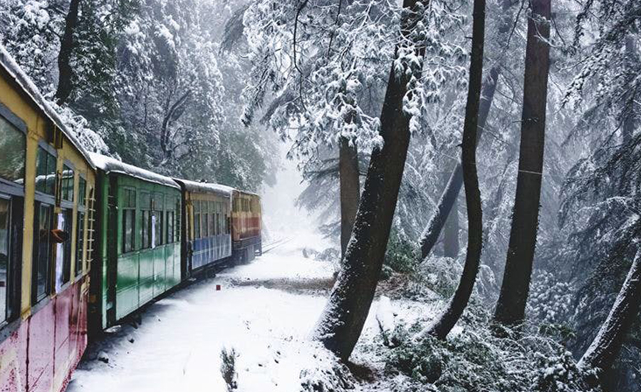 Shimla